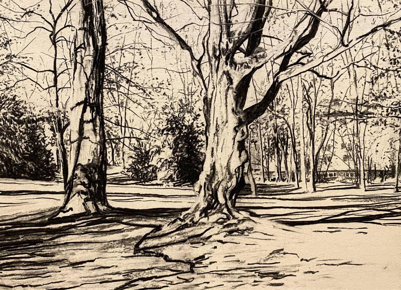 Westpark von Alexander Kreus