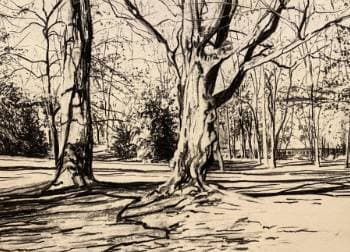 Westpark von Alexander Kreus