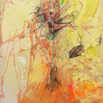 Fields of Orange_I von Jana Rusch