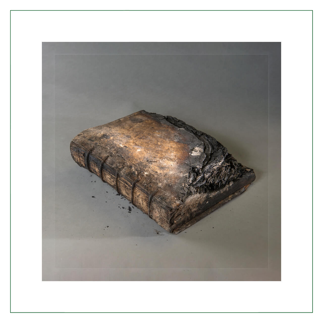 Die dünne Humusschicht unserer Zivilisation von Monika Kuck