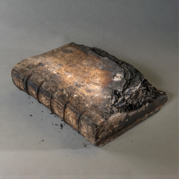 Die dünne Humusschicht unserer Zivilisation von Monika Kuck